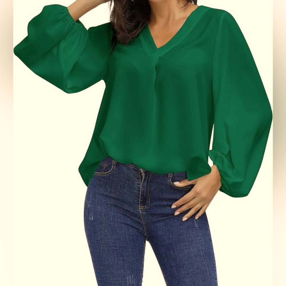 Buenos Ninos dressy top balloon long sleeve blouse